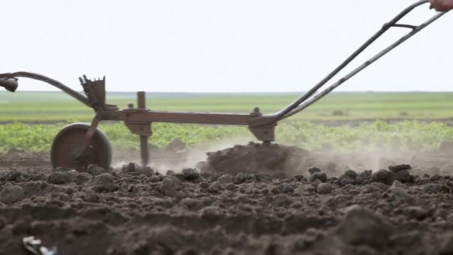 The ancient method of processing fields. Agriculture, using a horse and plow. Plow raised dust. Farmers at work