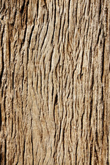 Obraz premium Texture of old wooden board