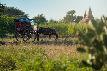 Fototapeta na wymiar Close up Horse cart in Bagan, Myanmar