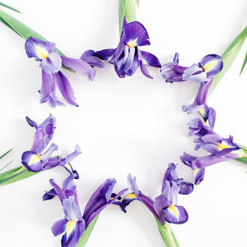 Round frame wreath made of purple iris flowers on white background. Flat lay, top view. Mock up.