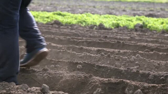 The grooms was working with the horse. Close up feet and plow