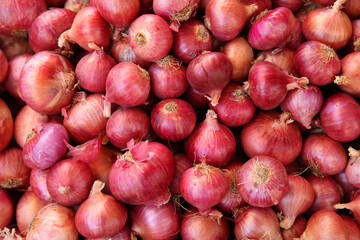 Pile of red onions 