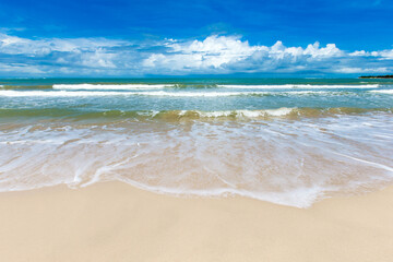 beach and tropical sea