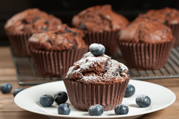 Home Baked Blueberry Chocolate Muffins.
