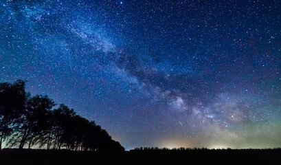 Starry sky and milky way above the trees.