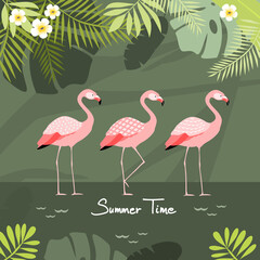 Flamingos with green tropical background, vector illustration