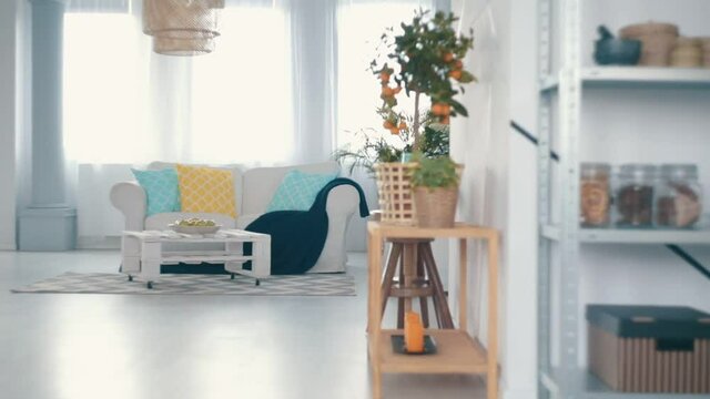 Bright modern loft fully furnished in a stylish way
