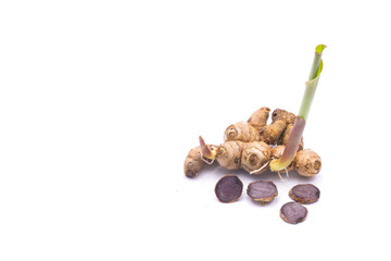 Black Galingale(Kaempferia parviflora Wallich. ex Baker.)(believed to help maintain male sexual...