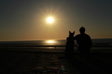 Chien et son ma&icirc;tre regarde le coucher de soleil sur la plage