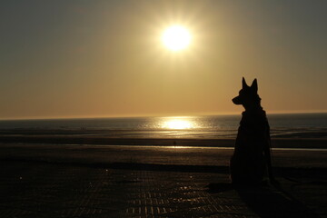 Chien et son maître regarde le coucher de soleil sur la plage