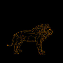 Fototapeta premium Abstract lion. Isolated on black background. Vector outline illustration.