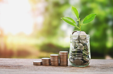 Plant growing on Coins glass jar  and concept money saving