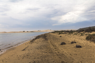 Big sand dunes in woody cape section of Addo Elephant Park