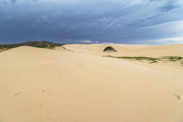 Fototapeta na wymiar Big sand dunes in woody cape section of Addo Elephant Park