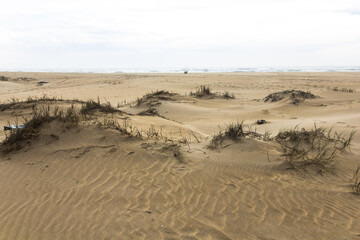 Big sand dunes in woody cape section of Addo Elephant Park