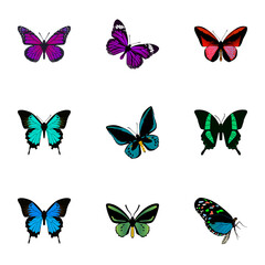 Fototapeta na wymiar Realistic Purple Monarch, Callicore Cynosura, Common Blue And Other Vector Elements. Set Of Beauty Realistic Symbols Also Includes Butterfly, Red, Purple Objects.