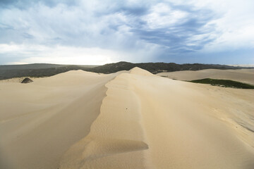 Big sand dunes in woody cape section of Addo Elephant Park
