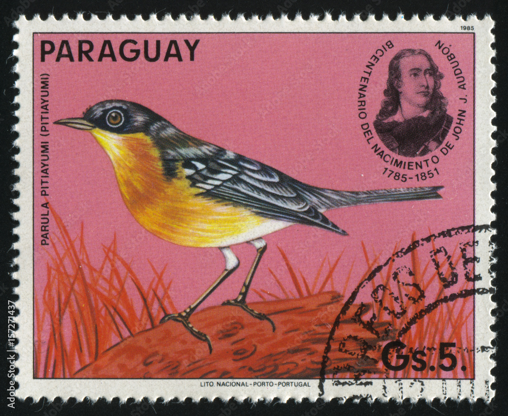 Poster bird Paraguay stamp