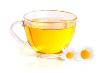 Herbal tea with fresh chamomile flowers isolated on white background