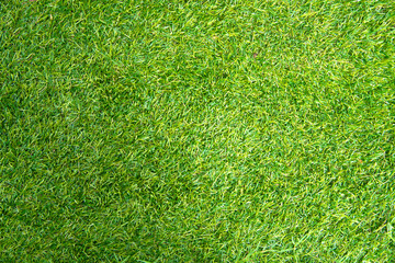 Fototapeta premium Green grass soccer field background and texture 
