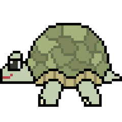 vector pixel art turtle