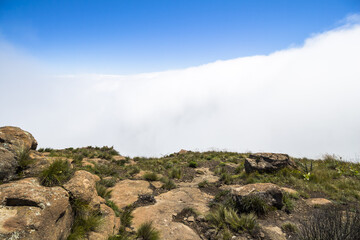 Fototapeta na wymiar Above the clouds on Sentinel Hike, Drakensberge, South Africa