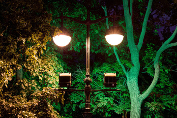 Night multicolor street lamps on the background of trees foliage.