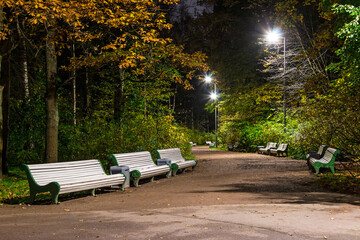 Night view of alley in the Kirov Central Culture and Leisure Park, Saint Petersburg, Russia.