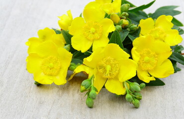 bouquet de millepertuis sur fond bois