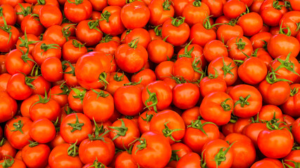 group of red tomatoes
