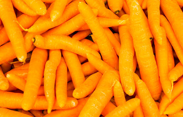 organic food carrot. background