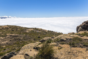 Clouds reaching the plateau of Drakensberge at Sentinel Hike