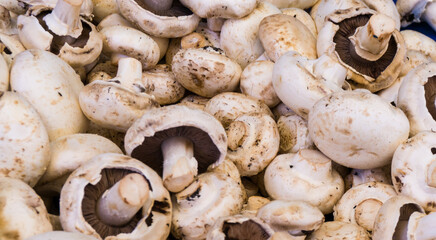 mushroom champignon. food background