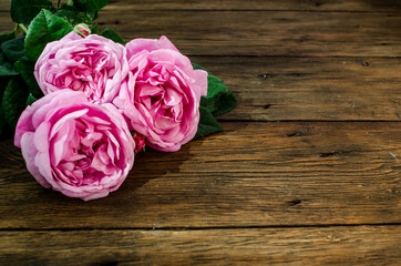 Floral frame with pink rose flowers on wood background. place for text, top view.