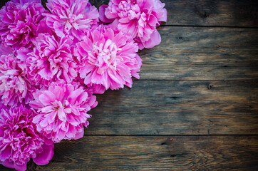 pink peonies flowers on wood background. place for text, top view