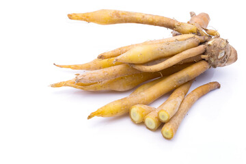 finger root Ingredients for Thai Cuisine and thai herb on white background