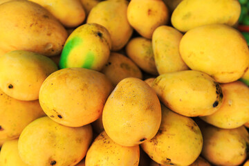 Mango in  Indian market.