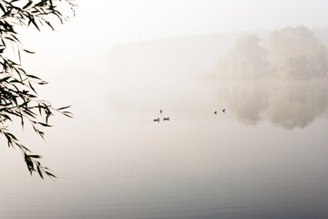 Morning mist over the lake with reflection in the water. Fog on a river