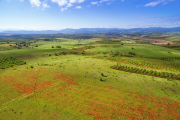 Europe at spring / aerials