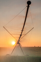 part of irrigation system watering in a sunset