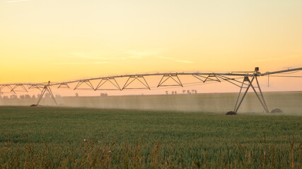 part of large irrigation system watering in a sunset