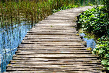 wooden footpath