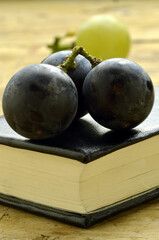 Viticoltura Viticulture Viticultura Viticulture Vinicultura 포도 재배  موکاری Winogrodnictwo Vinogradarstvo Виноградарство 葡萄栽培 Wijnbouw Weinbau Vinařství ブドウ栽培 द्राक्षाकृषि Viininviljely Vinohradníctvo