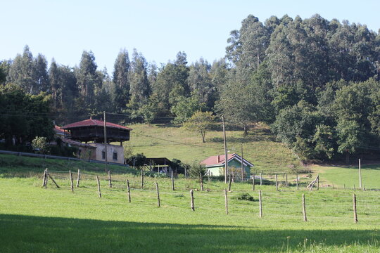 Village