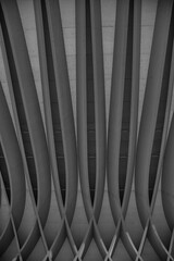 Naklejka premium Black and white study of patterns and lines 