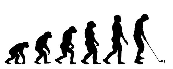 Vector silhouette of evolution of man.
