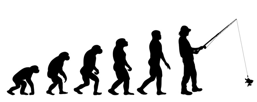 Vector silhouette of evolution of man.