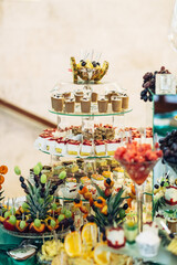 Cold desserts made of chocolate and berries served on tired glass dish