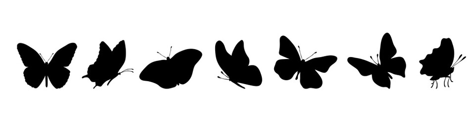 Vector silhouette of butterflly on white background.