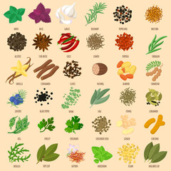 Herbs and spices icons 